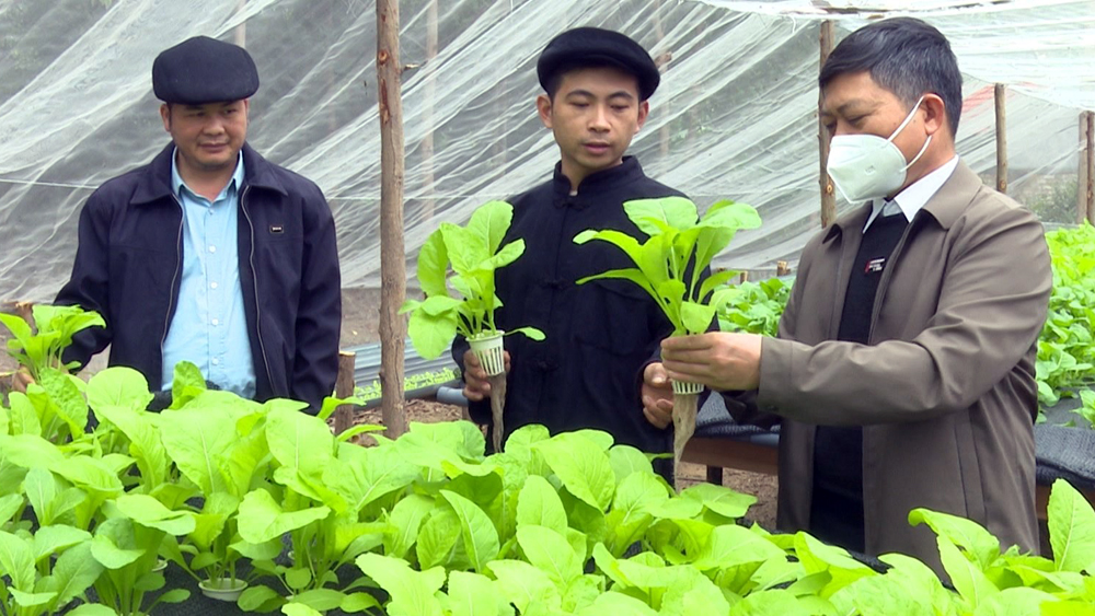 Anh Hoàng Xuân Mau (giữa) giới thiệu khu vực trồng rau trong "Nông trại Cao Lan".