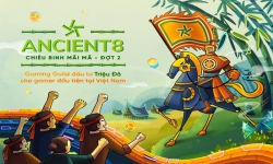 Startup Ancient8 Việt Nam huy động thành công 6 triệu USD