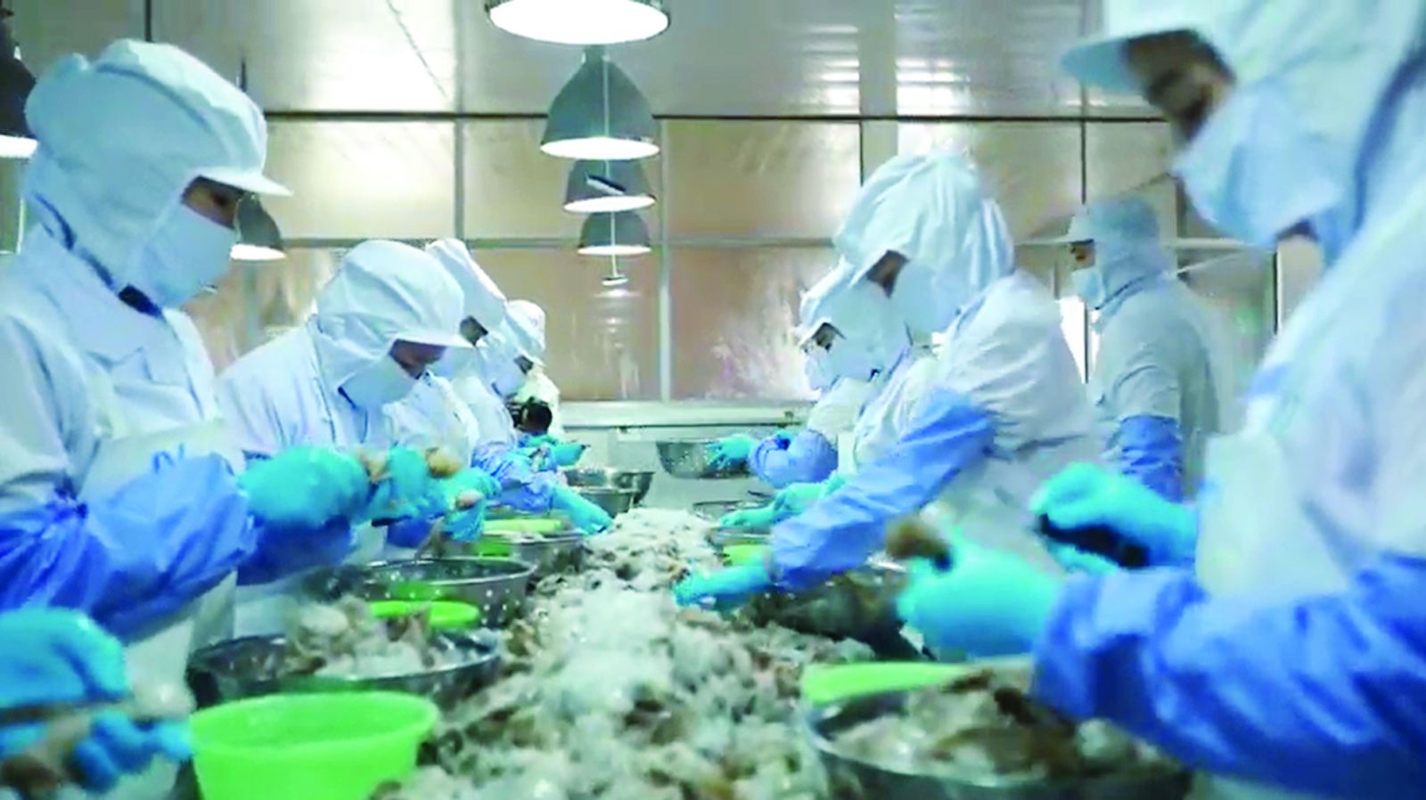  Dây chuyền chế biến tôm tại Nhà máy Ba Tri Seafood, huyện Ba Tri.