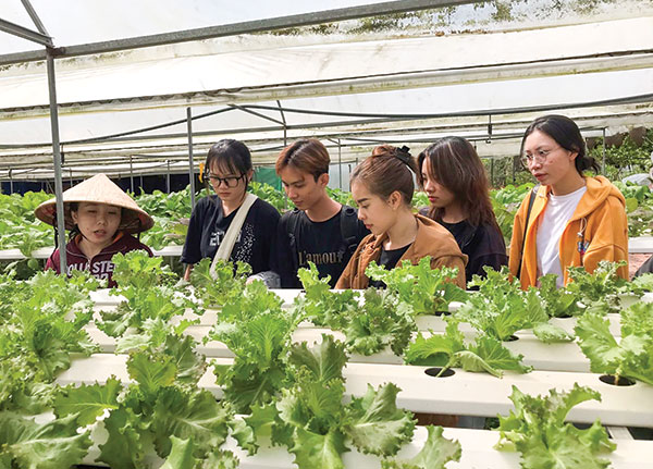 Sinh viên Trường Ðại học Cần Thơ tìm hiểu hoạt động của mô hình "Cần Thơ Farm" ở quận Bình Thủy. Ảnh: CTV