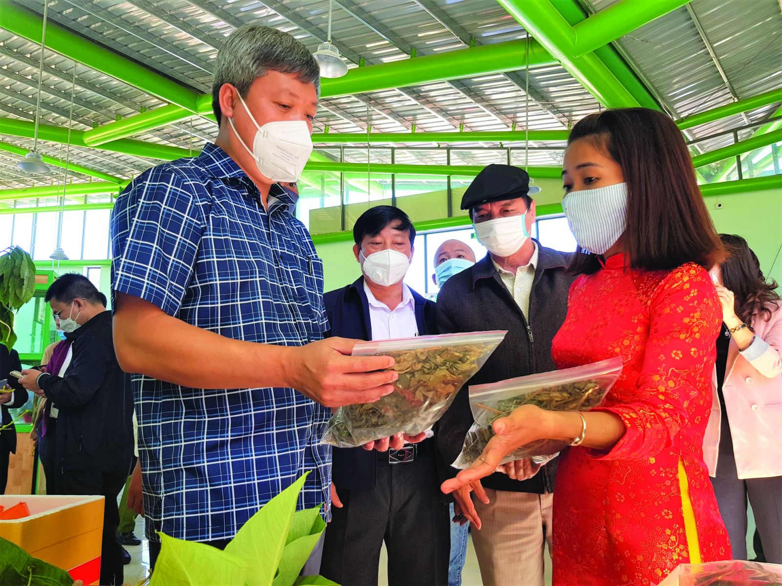 Ông Hồ Quang Bửu, Phó Chủ tịch UBND tỉnh Quảng Namp/kiểm tra các sản phẩm sản xuất từ sâm Ngọc Linh tại huyện Nam Trà My. 
