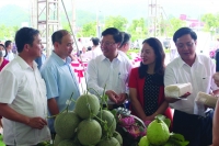 Thái Nguyên: Cùng doanh nghiệp chinh phục thị trường