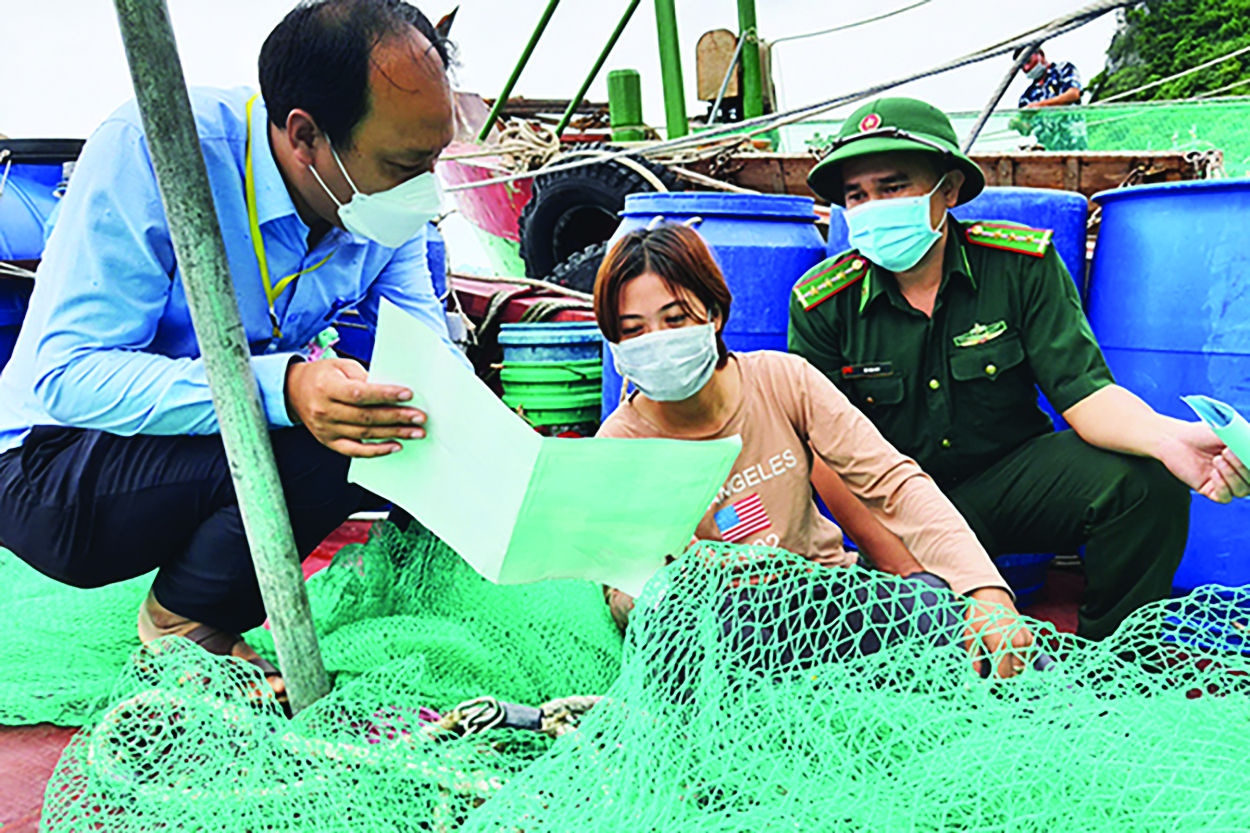  Cơ quan chức năng tuyên truyền ngư dân ở Đà Nẵng về khai thác thủy sản bất hợp pháp, không theo quy định IUU.p/Ảnh: T. Thủy