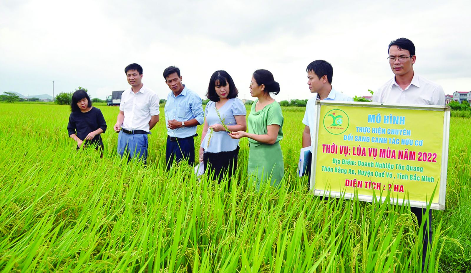 p/Thử nghiệm trồng lúa theo phương pháp hữu cơ tại xã Bằng An, Quế Võ trong vụ mùa 2022. Ảnh: Song Giang