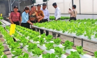 Long An: Thu hút doanh nghiệp đầu tư vào nông nghiệp bền vững