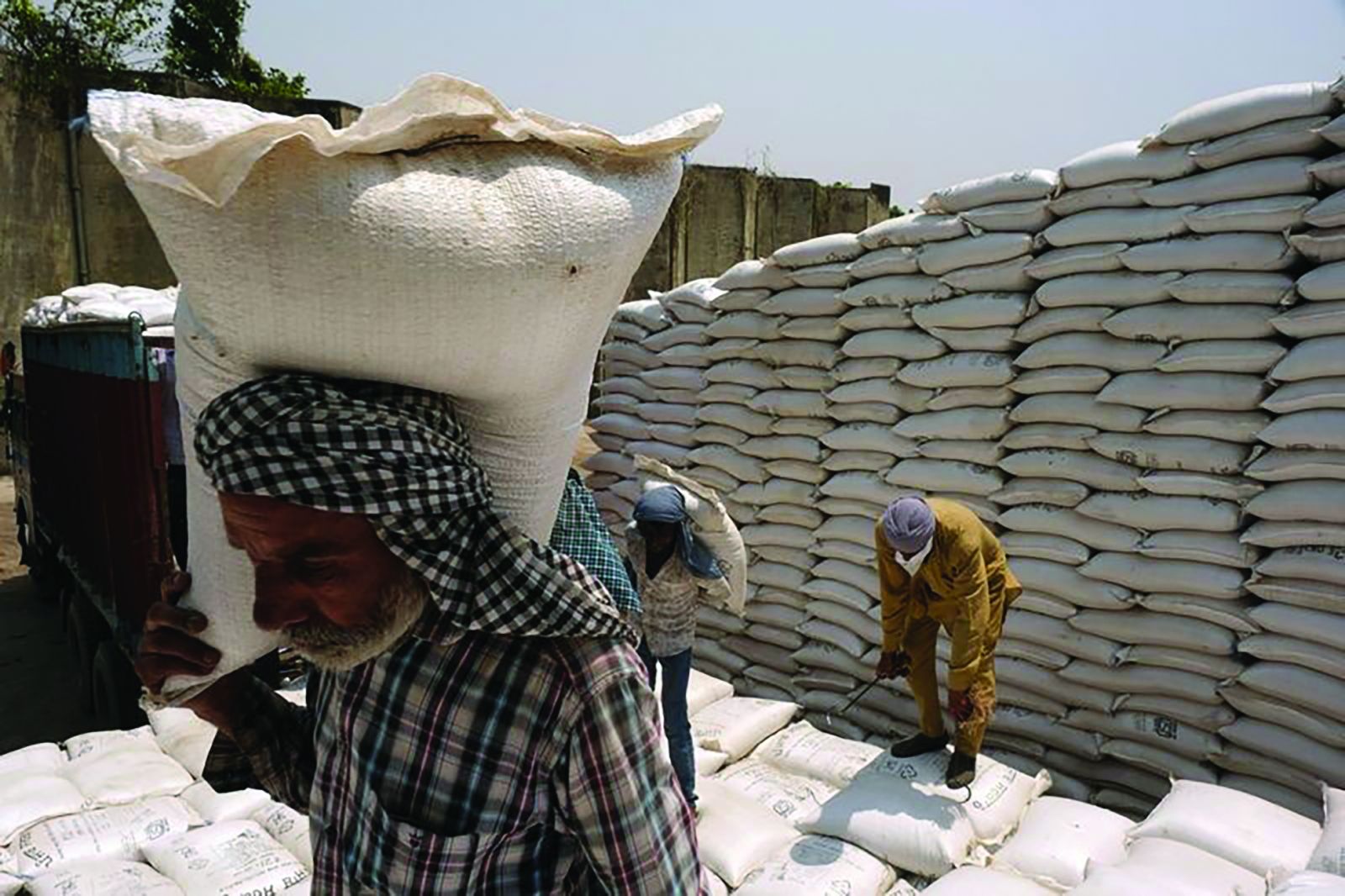 p/Nếu gạo Ấn Độ bị áp thuế, thậm chí bị cấm xuất cảng, sẽ đẩy giá gạo toàn cầu tăng cao