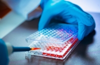 Startup Immuno Cure phát triển nền tảng vắc-xin DNA tăng cường PD-1