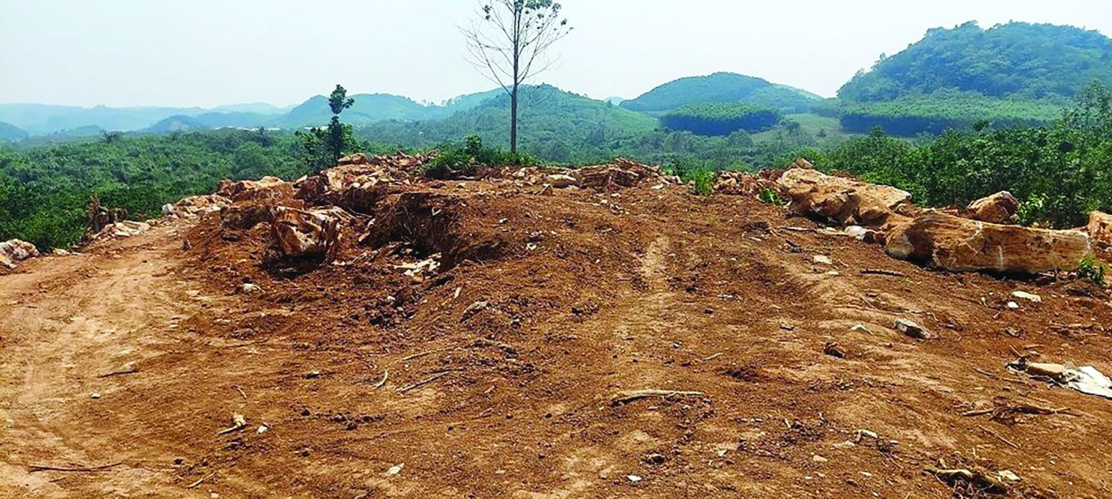  Nhiều ngọn núi bị bị san phẳng, đào bới tại huyện Quỳ Hợp, nơi được ví như một “thủ phủ” khoáng sản của tỉnh Nghệ An.