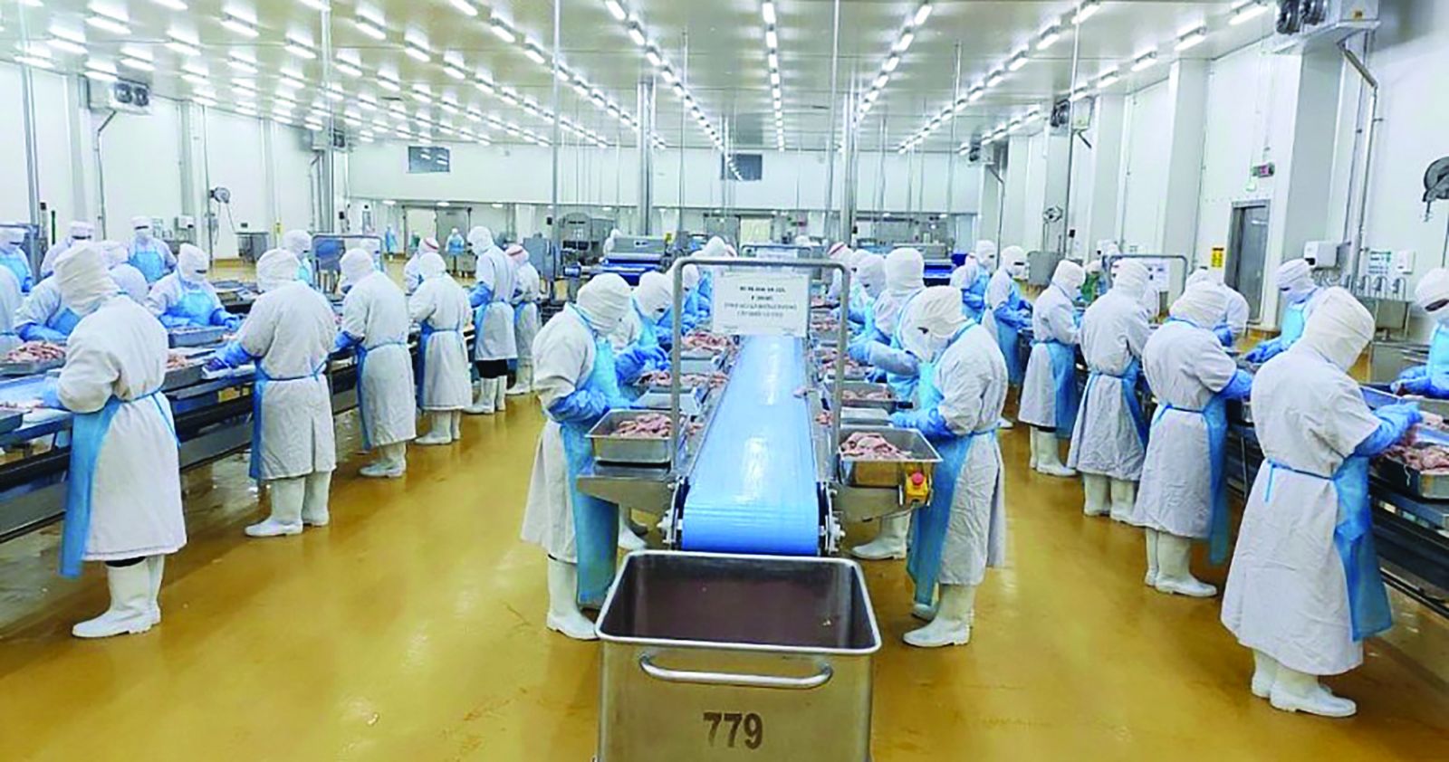 Chế biến thịt gà xuất khẩu tại Công ty cổ phần chăn nuôi C.P Việt Nam (Khu công nghiệp Becamex - Bình Phước)