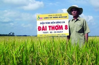 Bảo hộ giống cây trồng Việt Nam vẫn còn hạn chế