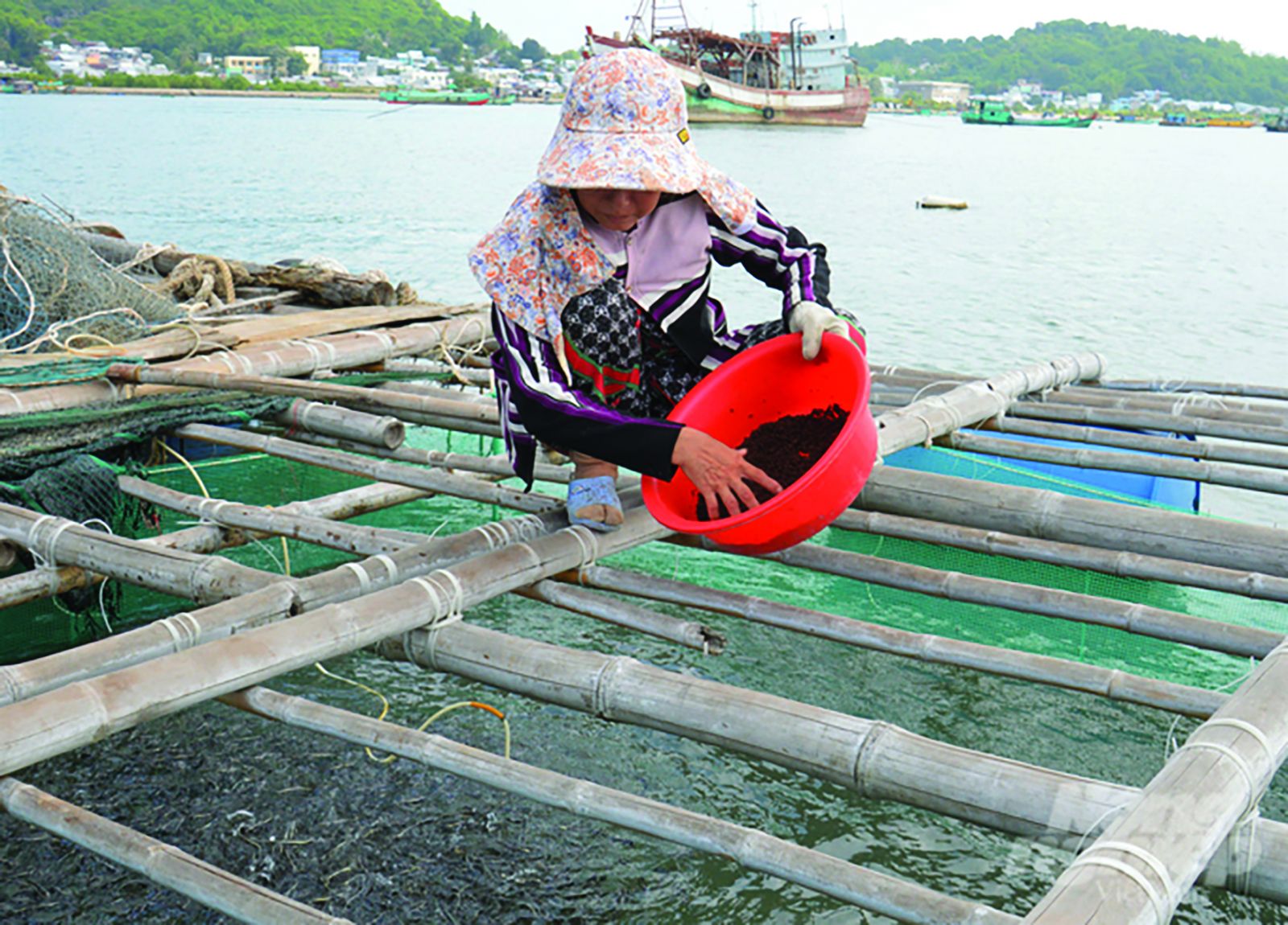  Kiên Giang tăng cường hoạt động nuôi thủy sản nước mặn, lợ, ngọt để bổ sung sản lượng, đồng thời tái cấu trúc nuôi thuỷ sản theo hướng phát triển bền vững. 