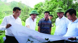 Huyện Đại Từ (Thái Nguyên) phấn đấu đạt chuẩn nông thôn mới