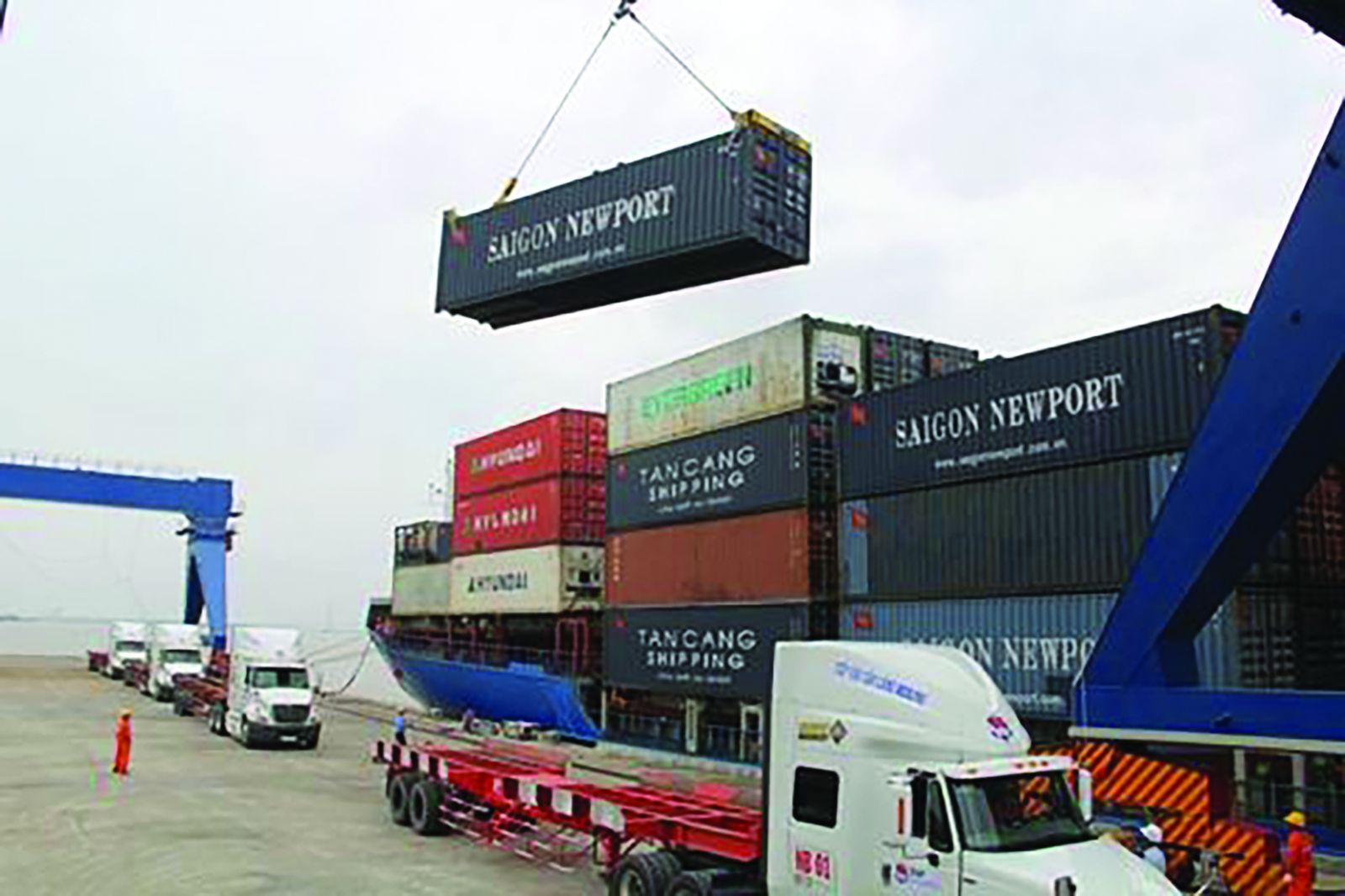  Bốc xếp hàng hóa tại cảng Cái Cui. 