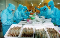 Dừng nhập khẩu thủy sản Việt Nam vào thị trường Ả rập Saudi