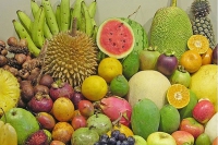 Xóa bỏ các vấn đề cốt lõi để xuất khẩu trái cây, Indonesia cạnh tranh với Thái Lan và Việt Nam