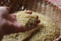 Australia đưa yêu cầu nhập khẩu mới đối với gạo đồ
