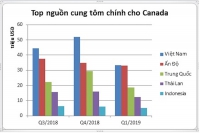 Xuất khẩu tôm sang Canada: Tiềm năng lớn vì sao tăng trưởng không ổn định?