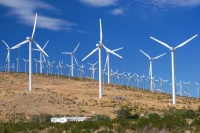Bộ Công thương kiến nghị giảm 12-17% giá FIT điện gió sau ngày 1/11/2021