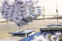 Giá gạo xuất khẩu Việt Nam tiếp tục lập đỉnh mới