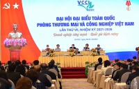 Đại hội Đại biểu toàn quốc VCCI lần thứ VII, nhiệm kỳ 2021-2026