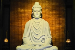 Phật dạy cách tập trung để thành công trong cuộc sống