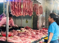 TIN NÓNG CHÍNH PHỦ: Thực hiện ngay biện pháp bảo đảm cân đối cung cầu thịt lợn, bình ổn giá