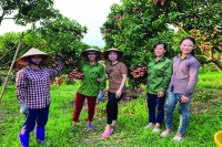 Trái cây Việt ra toàn cầu