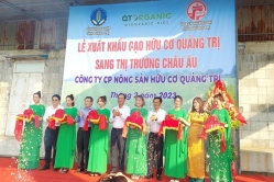 Giá trị mới của gạo Việt