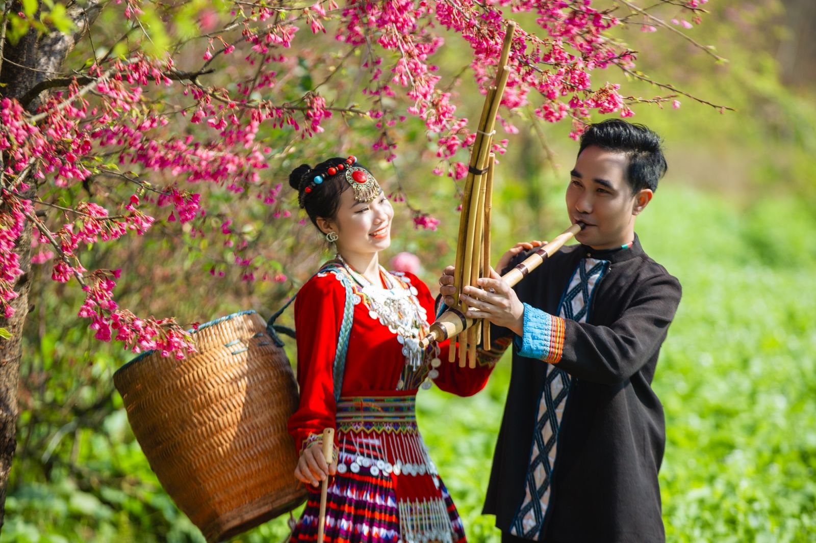 Du khách chụp ảnh cùng hoa đào tại Sun World Fansipan Legend