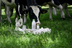Xu hướng tiêu dùng sữa dinh dưỡng hữu cơ tại Việt Nam