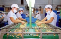 Cần định vị lại thị trường nông sản Việt Nam