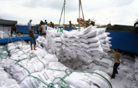 Quy định mới về điều kiện kinh doanh xuất khẩu gạo