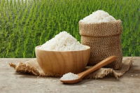 Cơ hội nâng tầm hạt gạo Việt