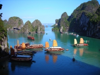 Phó Thủ tướng yêu cầu hoàn thiện quy định quản lý du lịch trên vịnh Hạ Long và Bái Tử Long
