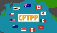 Thủ tướng chỉ định cơ quan đầu mối triển khai Hiệp định CPTPP
