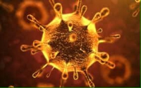 Hiểu thêm về các phương pháp phòng ngừa virus Corona