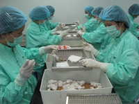 Vắc xin COVID-19 Việt Nam dự kiến hoàn thành vào cuối năm 2021