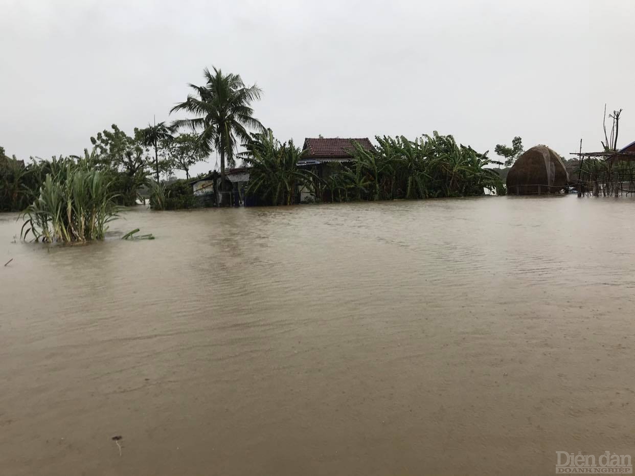 Nhiều xóm làng tại Quảng Trị chìm trong biển nước. Ảnh: Khắc Trà