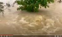 Cận cảnh xoáy nước, nước lũ đùn lên ở Quảng Trị