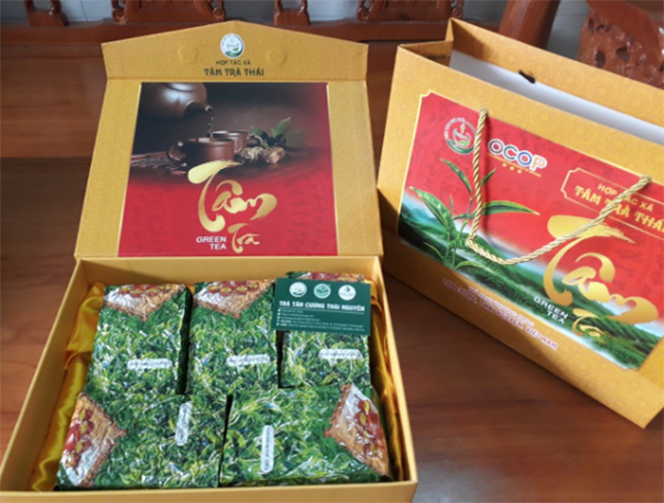 Hải Trà Tân Cương - Địa chỉ quà tặng trà Thái Nguyên uy tín, chất lượng