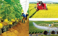 TIN NÓNG CHÍNH PHỦ: Phát triển nông nghiệp bền vững, nâng cao chất lượng, giá trị gia tăng
