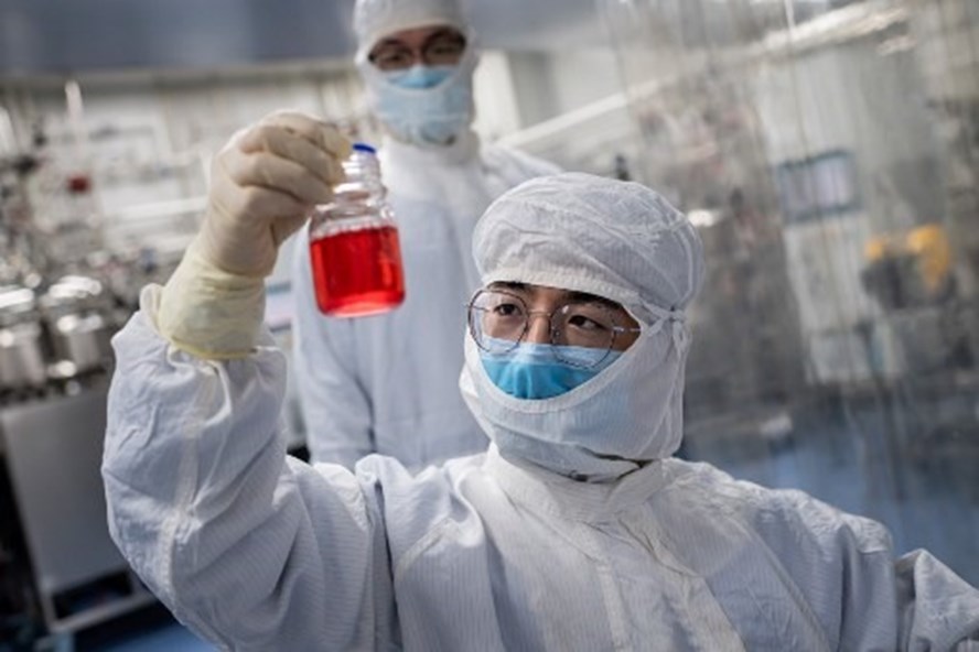 Kỹ thuật viên đang xem xét các tế bào khi thử nghiệm vaccine COVID-19 trong phòng thí nghiệm tại cơ sở Công nghệ sinh học Sinovac ở Bắc Kinh, Trung Quốc. Ảnh: AFP.