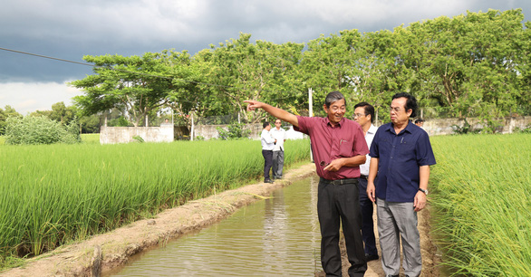 Ông Hồ Quang Cua giới thiệu về khu trồng giống lúa ST tại doanh nghiệp của ông cho đoàn công tác của tỉnh Bạc Liêu nhằm mở rộng vùng sản xuất lúa ST tại Bạc Liêu - Ảnh: CHÍ QUỐC