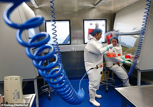 Các nhà khoa học làm việc tại phòng thí nghiệm thuộc viện Virus Vũ Hán