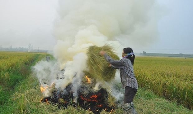 Một trong những nguyên nhân gây ô nhiễm không khí đến từ việc đốt rơm rạ của người dân ở ngoại thành Hà Nội.