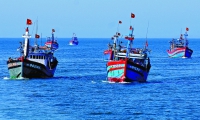TIN NÓNG CHÍNH PHỦ: Cho ý kiến về quy định cho thuê khu vực biển để nuôi trồng thủy sản