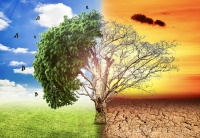 Biến đổi khí hậu và quản lý phát thải các-bon
