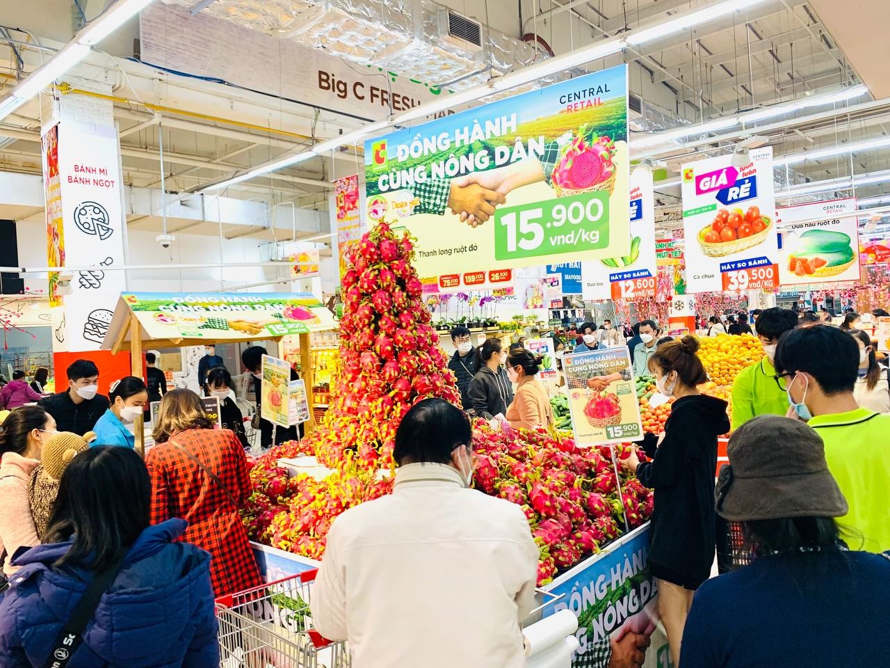 Người tiêu dùng Thủ đô Hà Nội hào hứng mua thanh long ruột đỏ, chất lượng cao, tại Big C Thăng Long.jpg