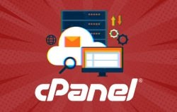 Hàng nghìn tổ chức tại Việt Nam bị ảnh hưởng bởi lỗ hổng trong phần mềm website cPanel
