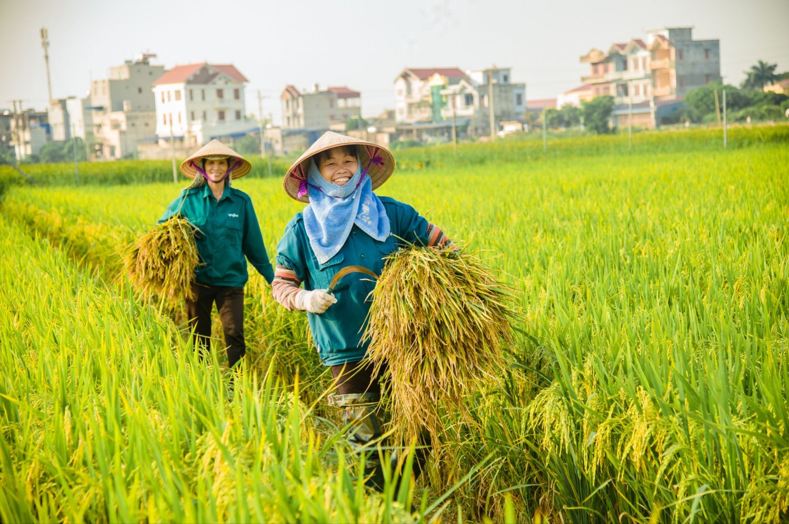  Nông sản Việt Nam đang có rất nhiều cơ hội trên thị trường quốc tế